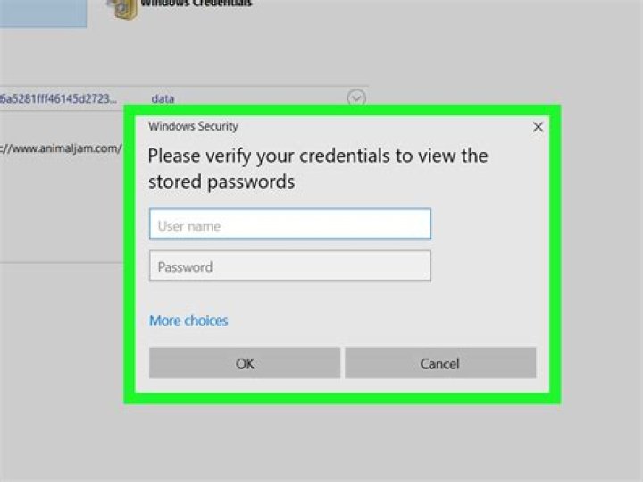 I need to view my windows credentials password