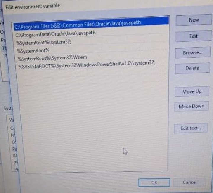 I want to add my java path but i don't understand , among all of these path, in which i should add my java path?