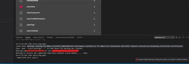If I disable NODE_TLS_REJECT_UNAUTHORIZED, my request is still denied
