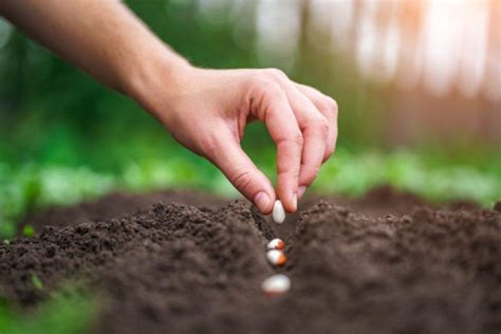 If I hire workers for my field, does their work count for my cultivate, fertilize, sow, and harvest achievements?