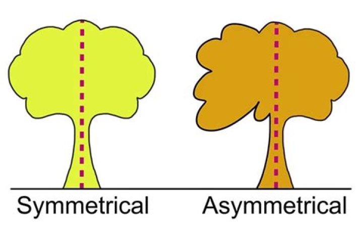 Illustration of the symmetric case
