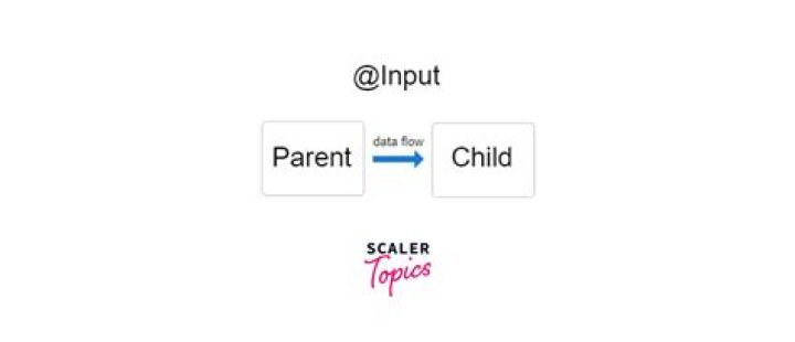 Import Directive into Component in Angular