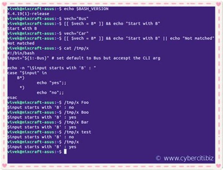 In Bash, how can I check if a string begins with some value?