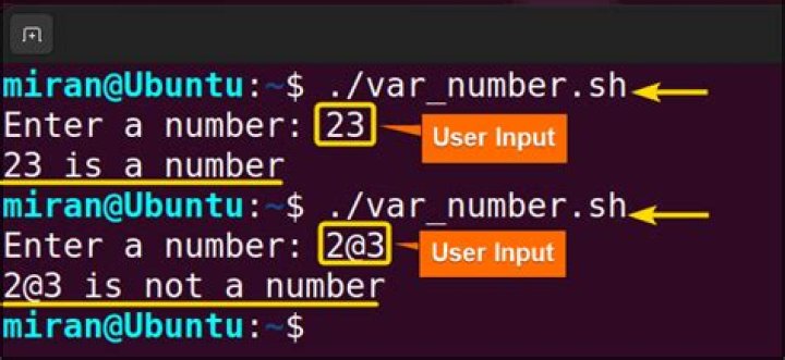 In bash, how do I count the number of lines in a variable?
