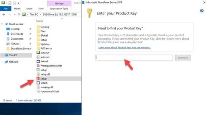 Install custom theme on SharePoint 2019 server