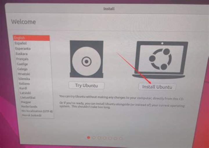 Install Ubuntu can't see my second hard drive
