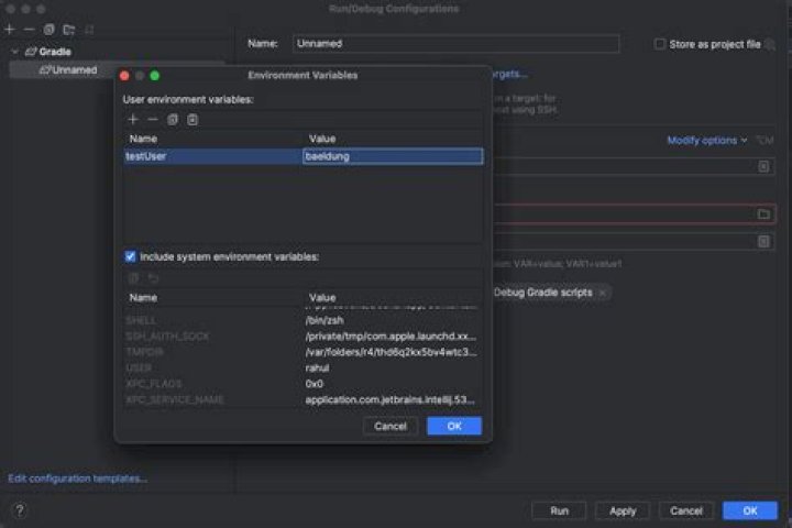 IntelliJ not picking up environment variables when using ZSH?