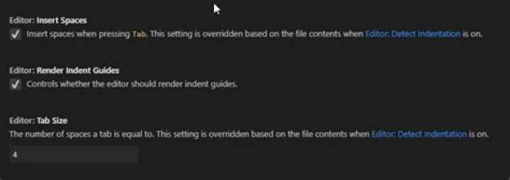 Intend settings part 2