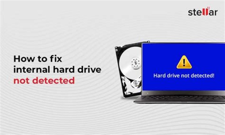 Internal Hard Drive not detected while installing Ubuntu 14.04