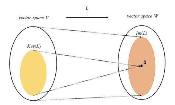 intutive difference between linear map/transformation vs linear function