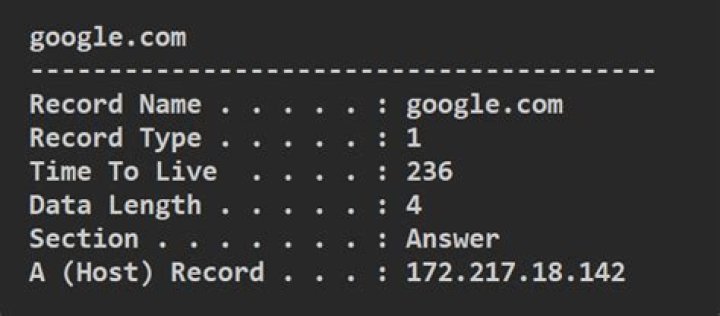 (ipconfig /displaydns) - how to display details for specific domain name