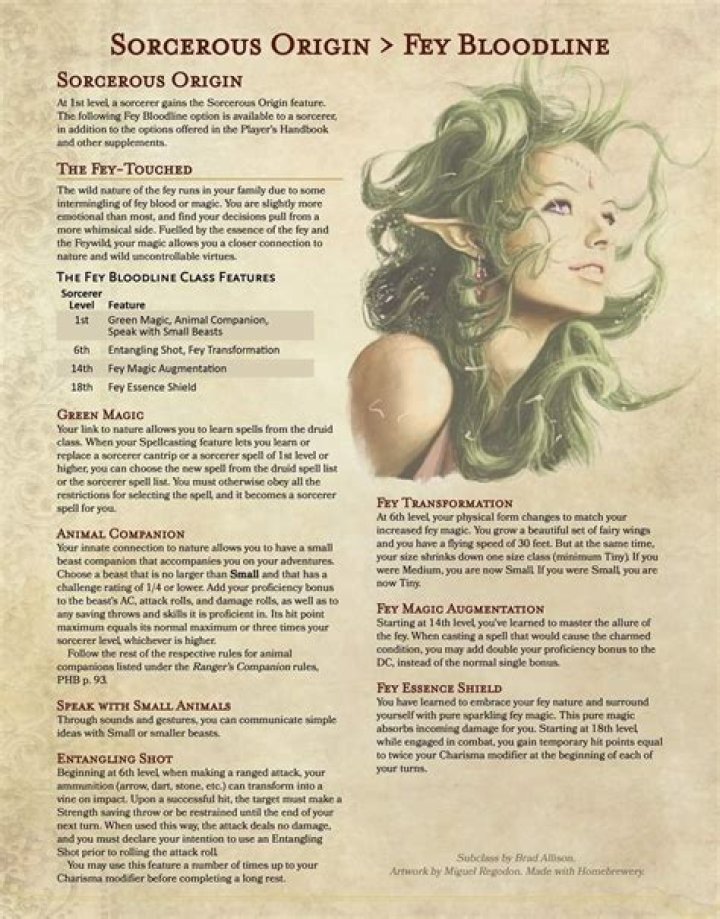 Is it a good idea to have a Pyromancer and Sorcerer combination? [closed]