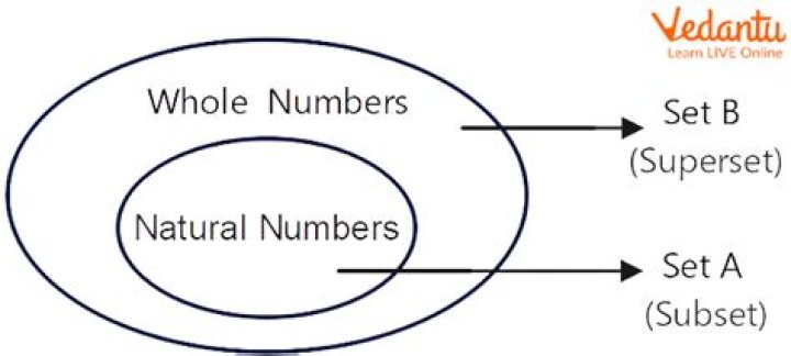 Is it correct to say that the natural numbers are a proper subset of the integers?