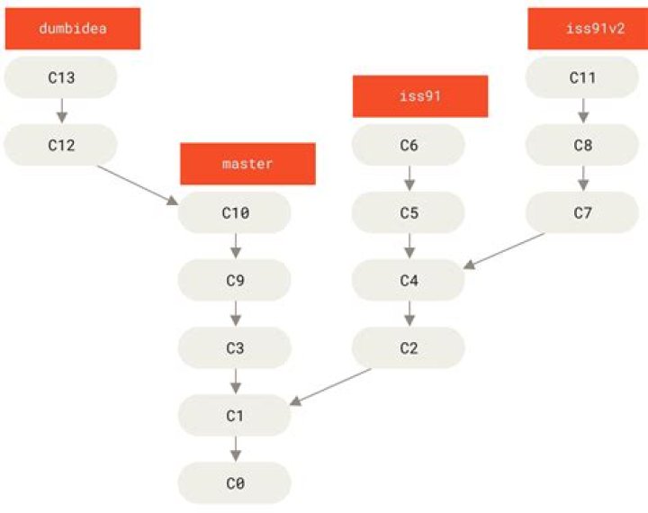 Is it possible to view multiple git branches at the same time for the same project?