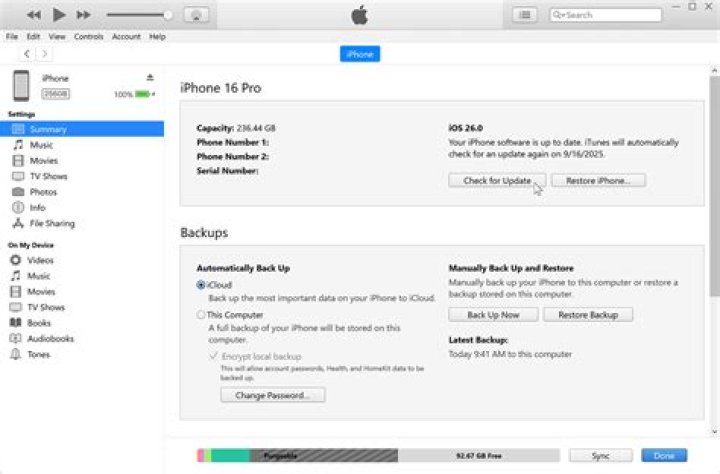 Is it safe to update an iPhone's firmware with VMWare?