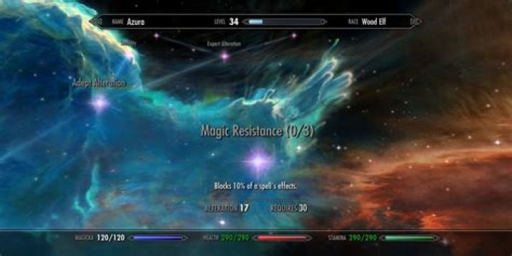 Is magic resistance common in Skyrim?