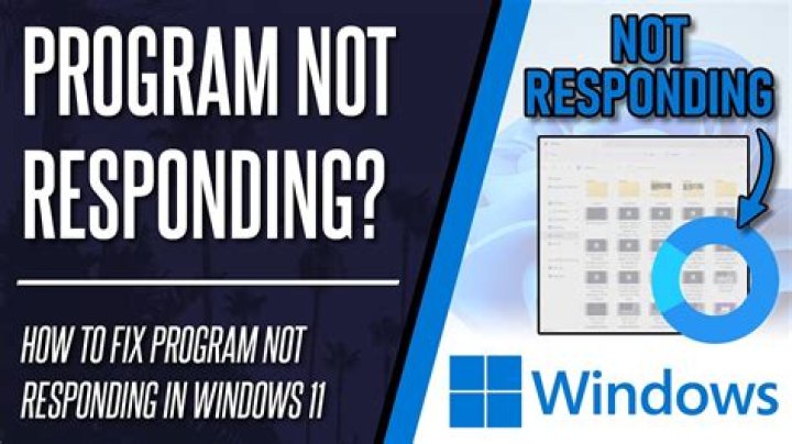 Is there a difference between a program 