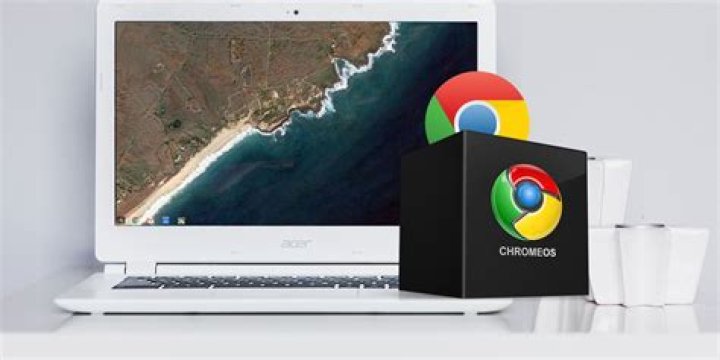 is there a way to completely delete Chrome OS on a chromebook - and install linux (not dual boot)