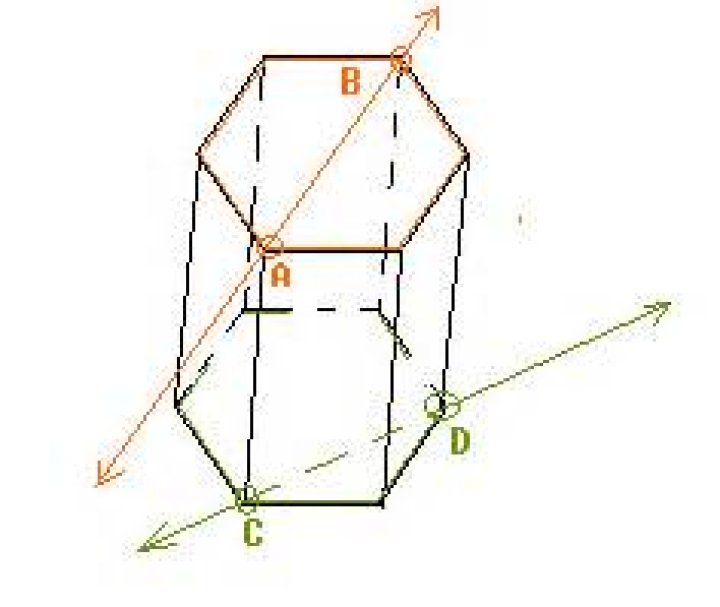 Is there any term for 2 straight-lines not touching yet not equidistant?
