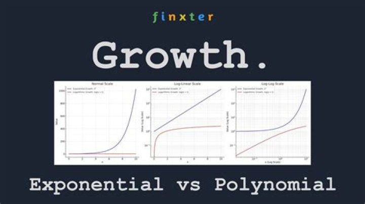 Is $x^x$ a polynomial, an exponential or both?