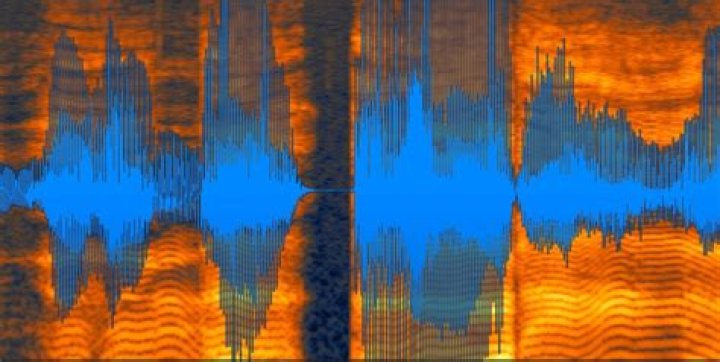 Jack sound distortion/clipping