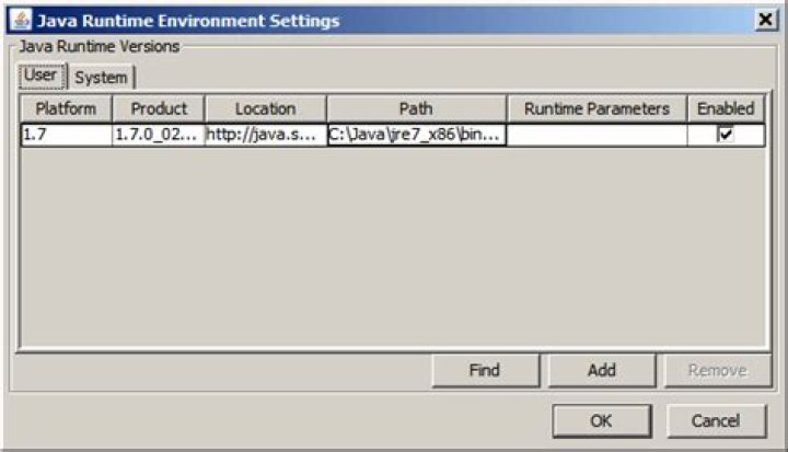 Java runtime environment settings