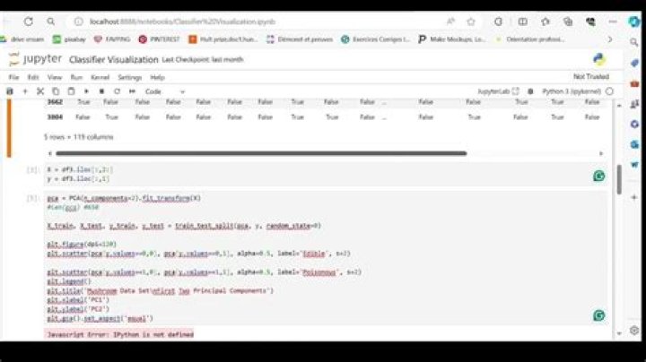 Javascript Error: IPython is not defined in JupyterLab