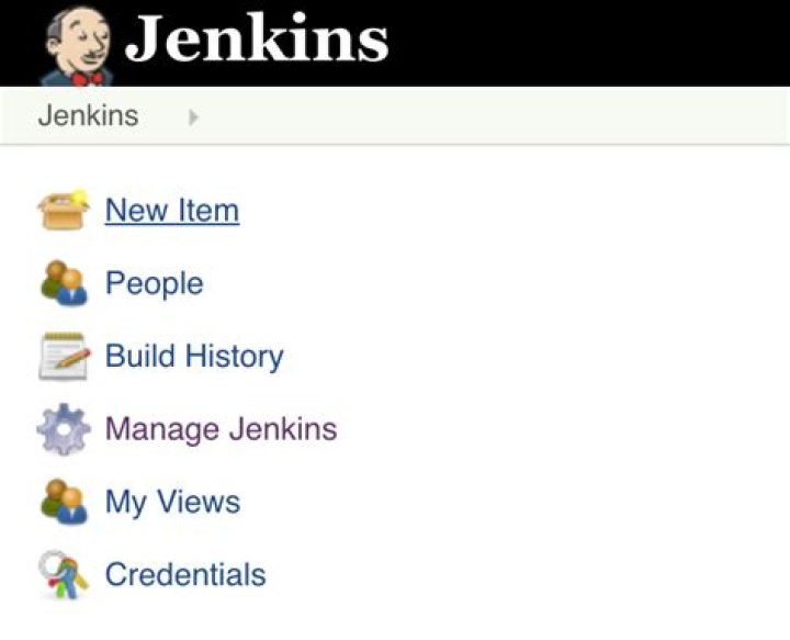 Jenkins New Item