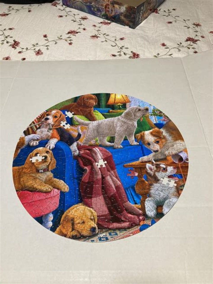 Jigsaw Puzzle Help