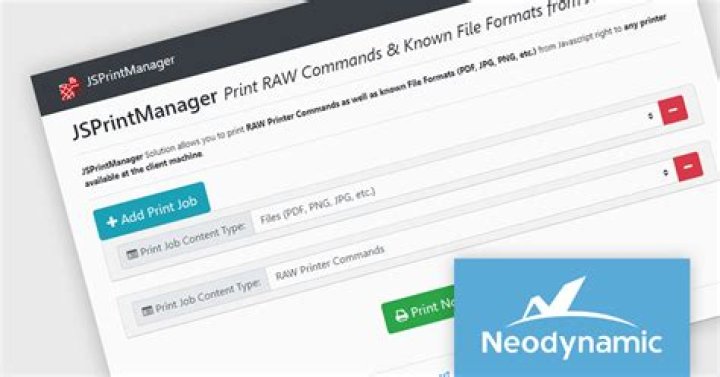 JSPrintManager unable to print without client app