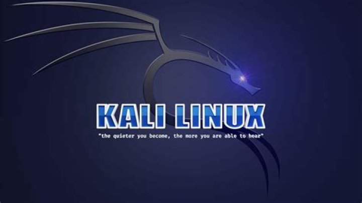 Kali Linux won't boot to GUI