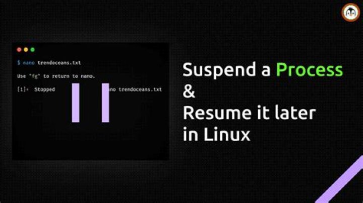 Kernel oops during resume after suspend/hybernate