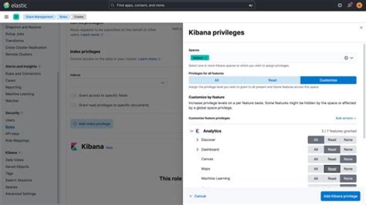 Kibana Client Screenshot