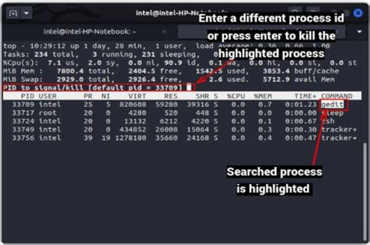 kill process with htop