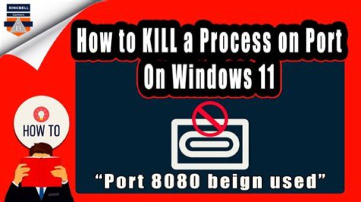 Kill what ever is running on port 8080