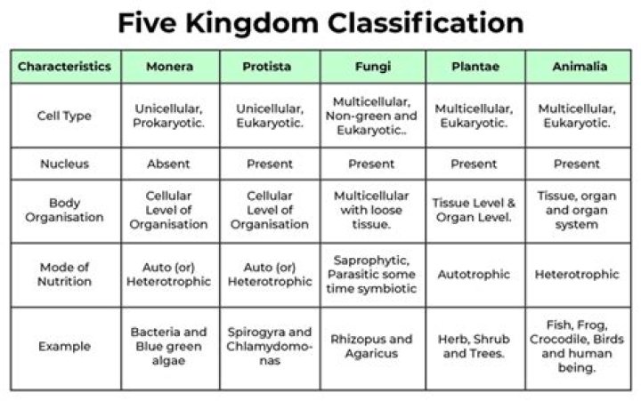 Kingdom grouping table