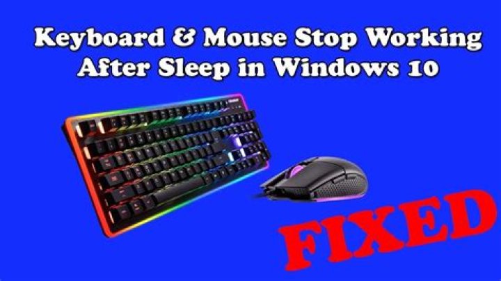 Left Mouse sometimes stops working after Sleep