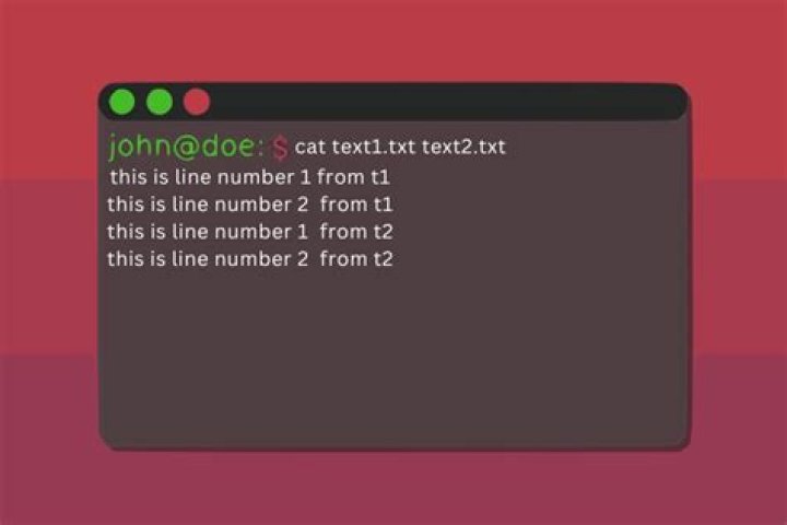 Line Buffered Cat