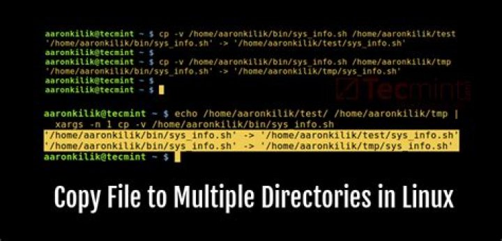 Linux Bash: Move multiple different files into same directory
