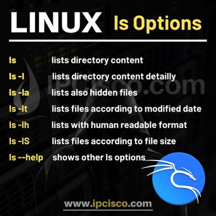 Linux command symbol !ls meaning