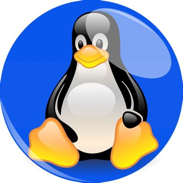 Linux Penguin Example