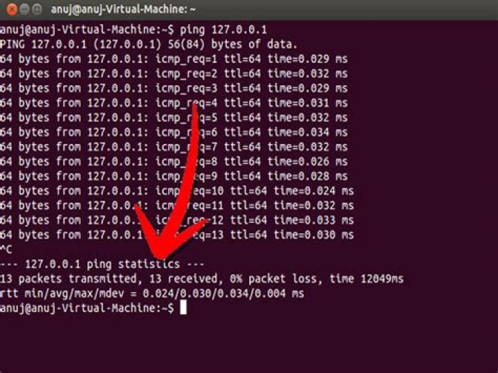 Linux ping