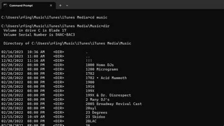 List directory in Go
