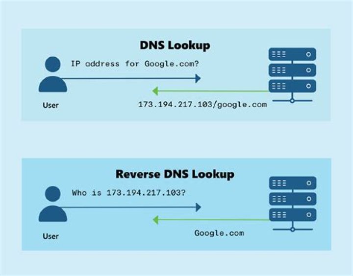 Local DNS domain lookup is extremely slow