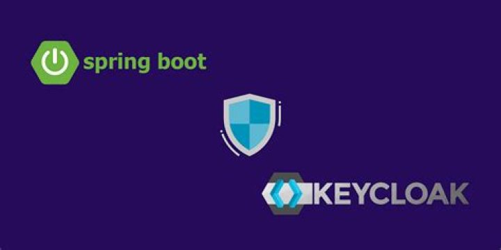 Logout from Spring security keycloak adapter, but no need to login to access application