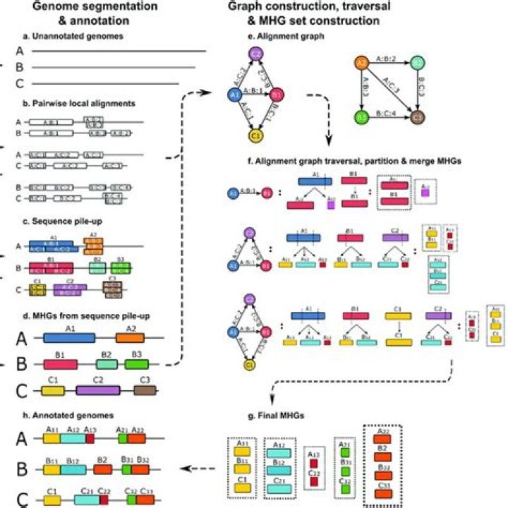 long exact sequence of homology groups
