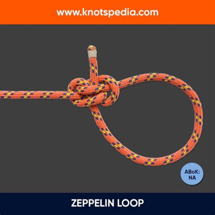 Loop Never Branch Never Size Default