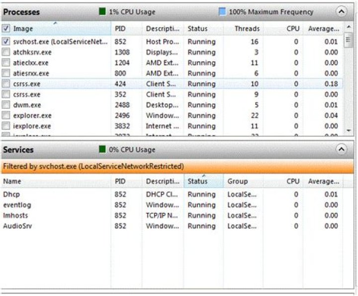 Lots of svchost.exe processes are running on my system