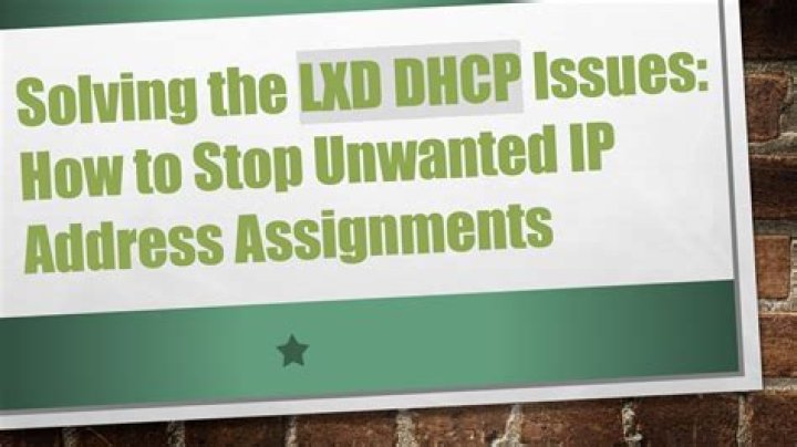 LXD: Getting DHCP IP but no ping outside