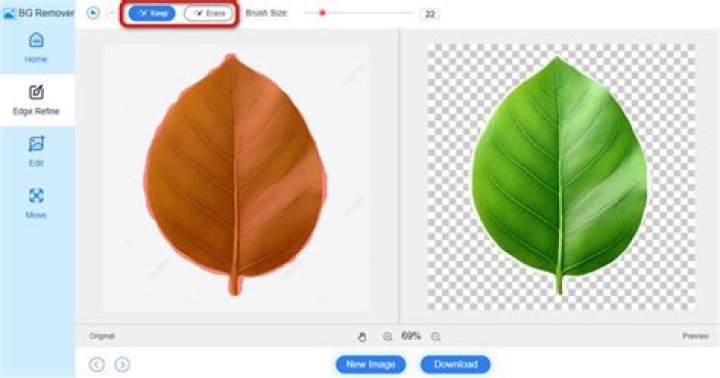 Make a Background Transparent in Paint.net
